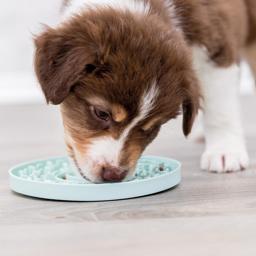 Trixie Junior Licking tallrik som aktivering för hunden i Color Mint